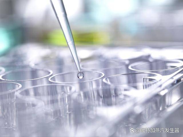 蒸汽发生器 政策解读：免检、环保、安全大大降低企业热能成本(图10)
