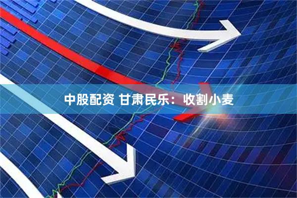 中股配资 甘肃民乐：收割小麦