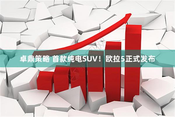 卓鼎策略 首款纯电SUV！欧拉5正式发布
