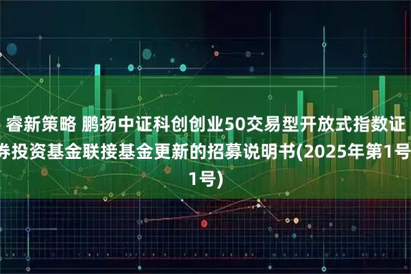 睿新策略 鹏扬中证科创创业50交易型开放式指数证券投资基金联接基金更新的招募说明书(2025年第1号)